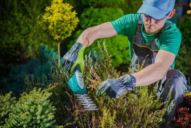 landscaping services Revere